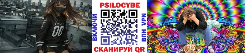 Псилоцибиновые грибы прущие грибы  Купить где  Салаир 