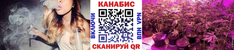 Бошки Шишки тримм  Купить где  Салаир 